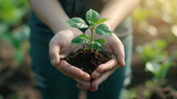 Plant in Hands.Ecology concept. Nature Background, generatve ai