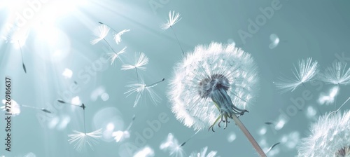 dandelion wind  in the style of light white and sky-blue