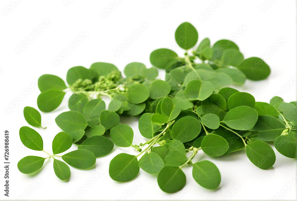 Obraz premium Edible moringa leaves isolated on white background