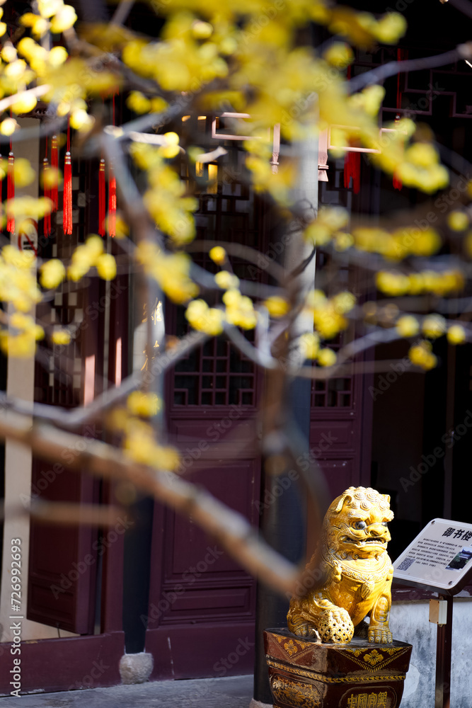 Obraz premium Chinese Ancient Architecture and Winter Plum Blossoms
