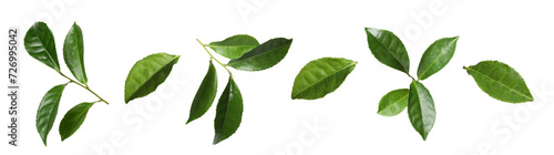 Fresh green tea leaves isolated on white, set photo