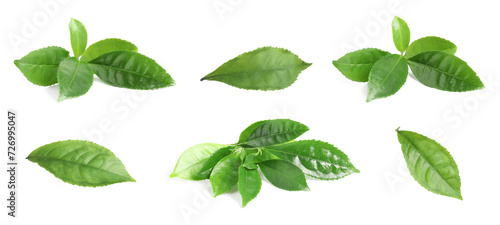 Fresh green tea leaves isolated on white, set