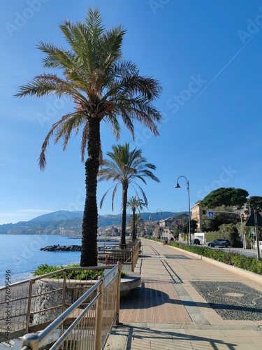 trees on the beach,Cogoleto © Chiara