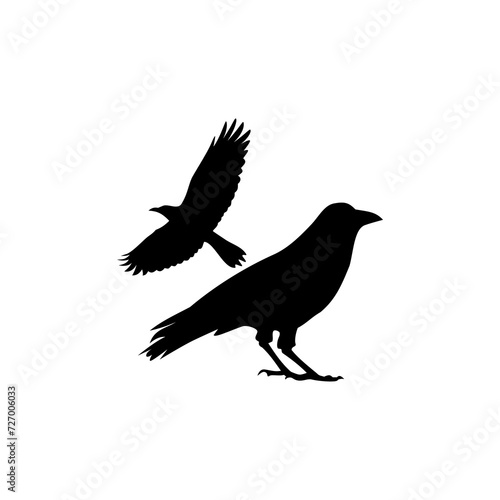 Crow  icon isolated on transparent background © sljubisa