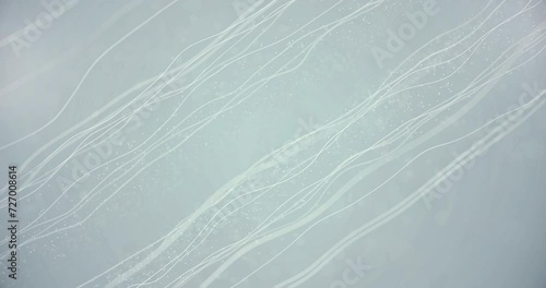 Abstract Futuristic Lines Particles. White Lines Particles And Dust Background. photo