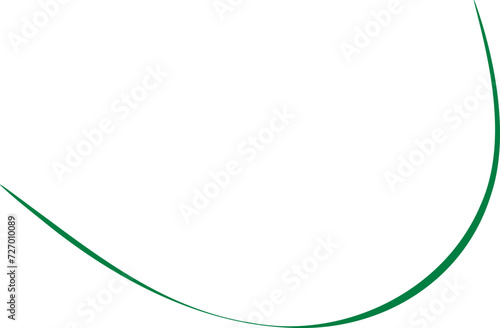 Hand drawn line illustration. Decorative line design element