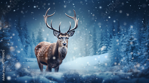 christmas card with deer © Anaya
