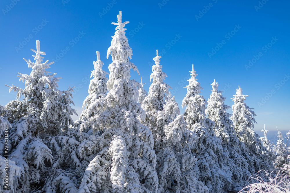 Obraz premium snowscene mountain