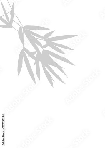 Isolated background featuring an Grey Olive branch with Leaves  Bamboo  and other nature elements  forming a beautiful and versatile illustration perfect for various design projects.