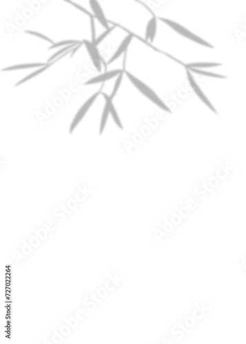 Fototapeta Naklejka Na Ścianę i Meble -  Blurry Grey Bamboo and Tree Branch Illustration with Leaves in Nature-themed Hand drawing Design for Summer and Spring Seasons, Floral Patterns and Silhouettes, perfect for Artistic Decorations.