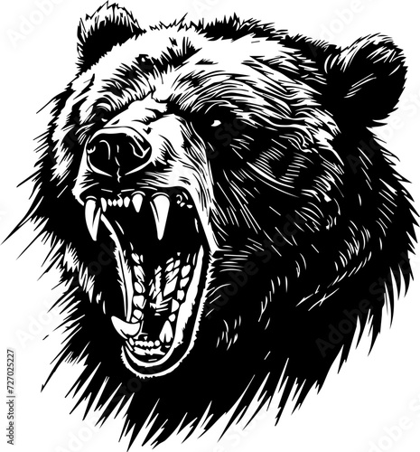 furious bear head tattoo illustration, isolated vector design,