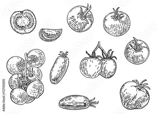 Set of tomato sketch. Great set of hand drawn tomatoes isolated on white background. Organic eco food.