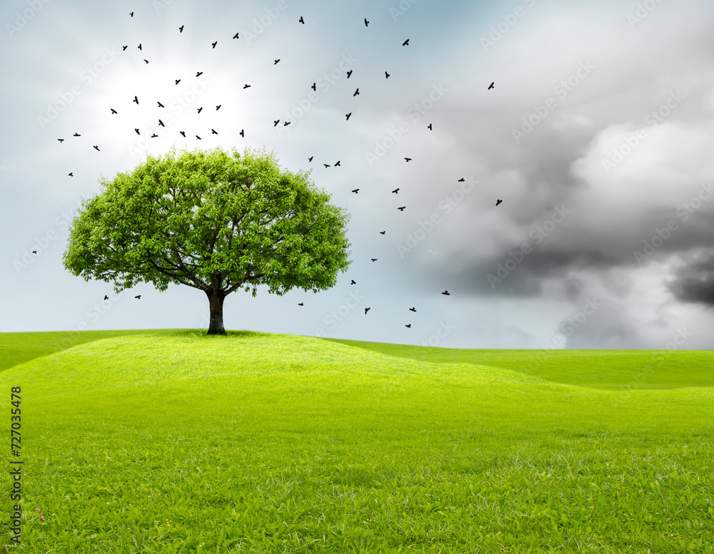 Baum in einer Landschaft mit dramatischem Himmel und auffliegenden Vögeln Baum in einer Landschaft mit dramatischem Himmel und auffliegenden Vögeln