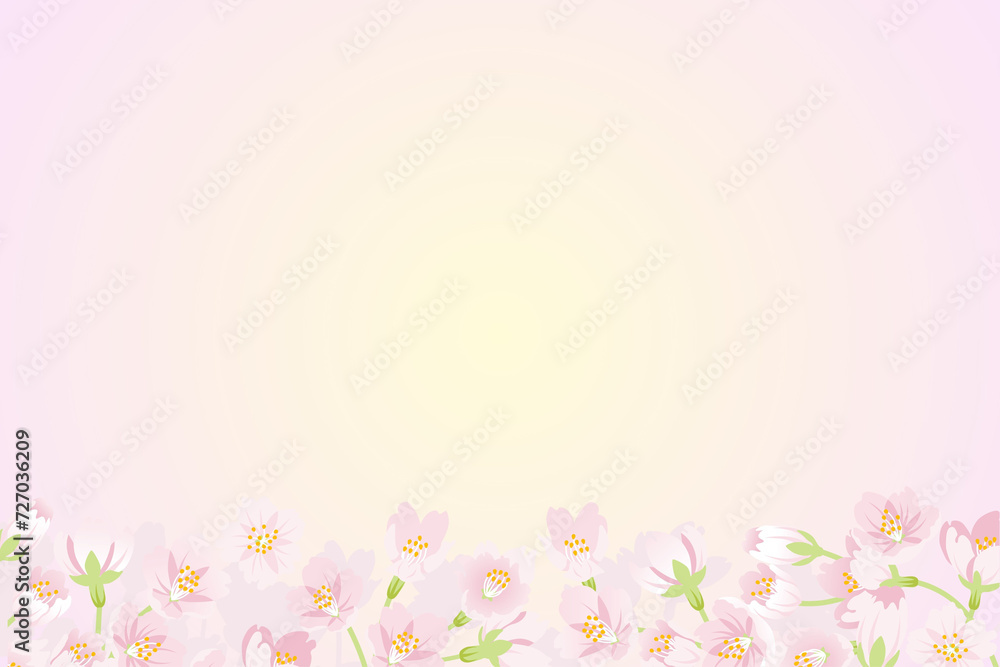 Fototapeta premium 春の桜フレーム
