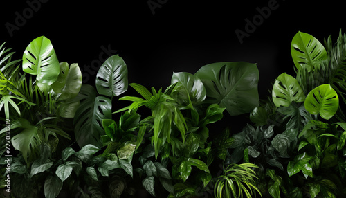 Background of tropical flowers #727038289