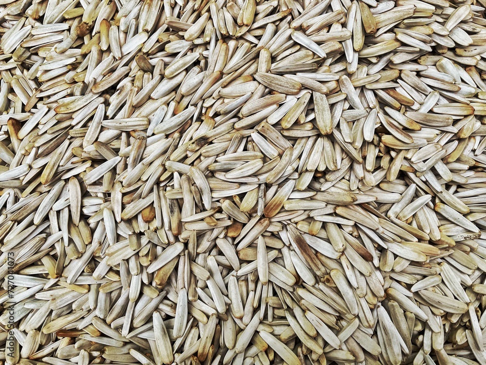 Sunflower seeds top view background. Sunflower seeds top view background.