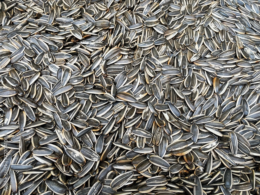 Sunflower seeds top view background. Sunflower seeds top view background.