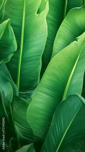 green palm leaves with glowing light in the background. Banner. Banana leaves. Bali style