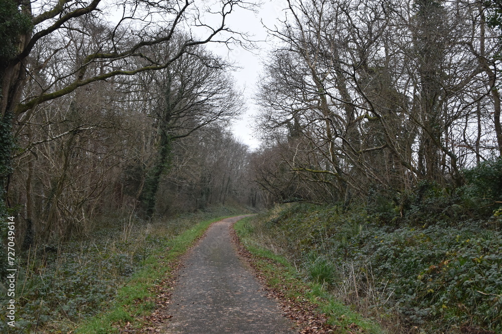 a walk along the the tarka trail next to Torrington