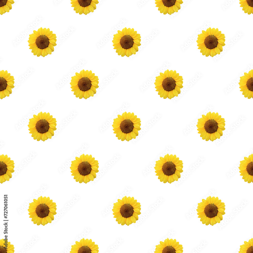 Seamless Pattern of Vivid Yellow Sunflowers Isolated on Transparent Background, PNG file Seamless Pattern of Vivid Yellow Sunflowers Isolated on Transparent Background, PNG file