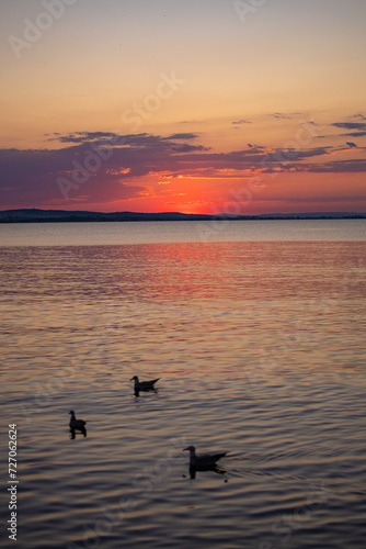 Seagull birds silhouettes on the Black Sea coast. Sunset sun through the clouds on an afternoon. Beautiful nature landscape.