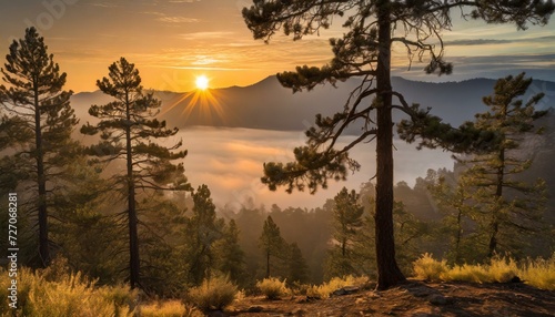 Embracing the Serenity of Nature's Morning Vibes © Muhammad Faizan