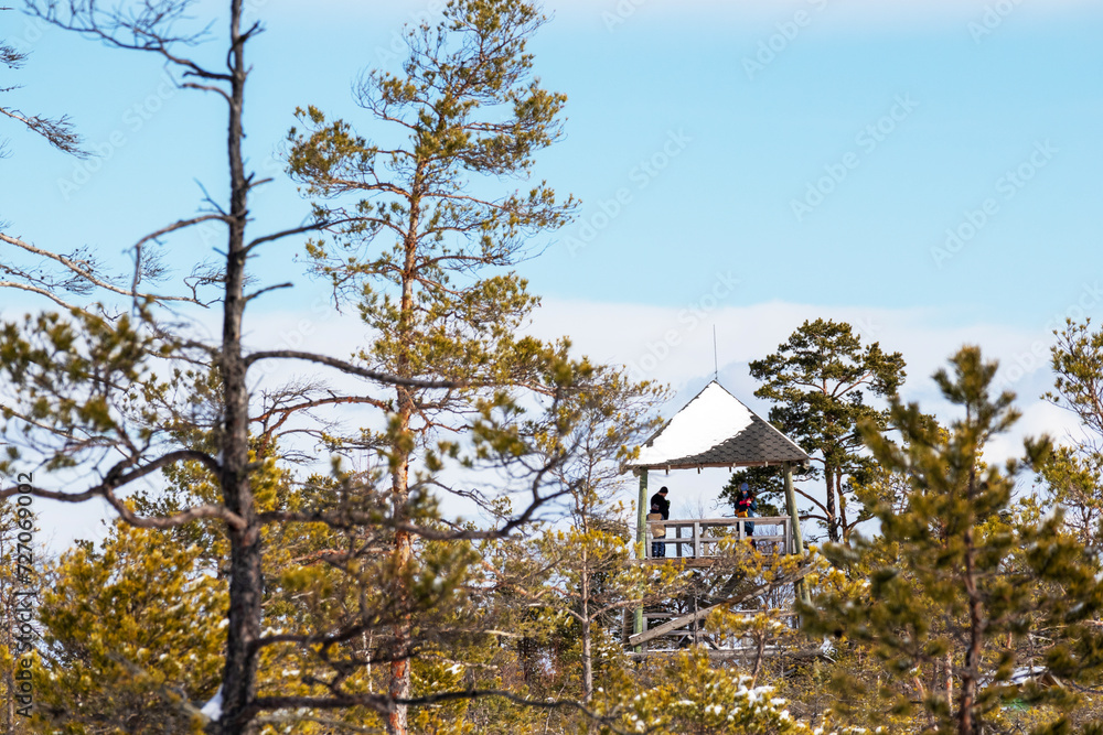 A bird watch tower above tree branches with a couple of human silhouettes in it against a blue background
