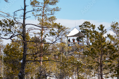 A bird watch tower above tree branches with a couple of human silhouettes in it against a blue background © Jorens