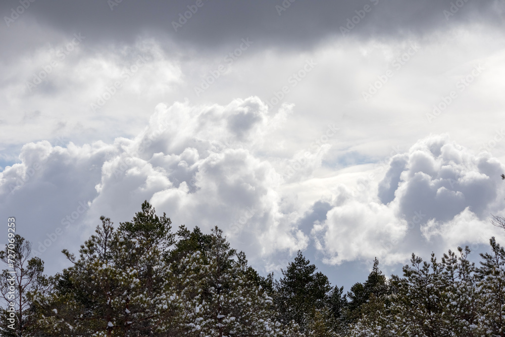 ominous black and white dark clouds in the sky before a storm with wooden silhouettes in the foreground ominous black and white dark clouds in the sky before a storm with wooden silhouettes in the foreground