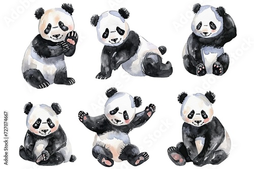 Set of panda in different poses watercolor © Idressart