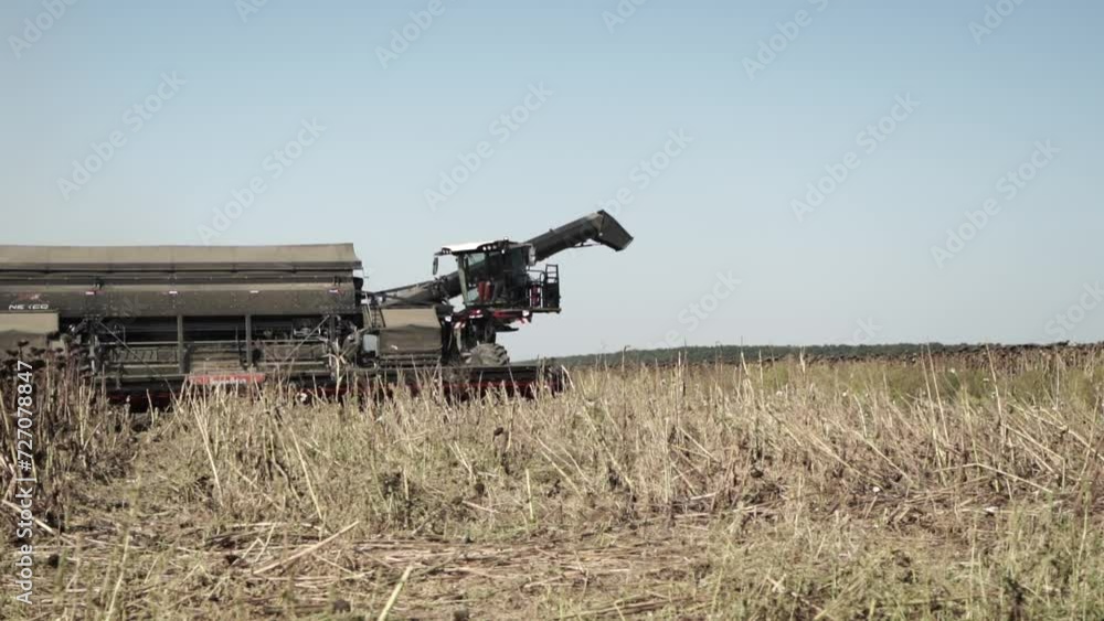Future Farming. Futuristic Combine harvesting sunflower Future Farming. Futuristic Combine harvesting sunflower