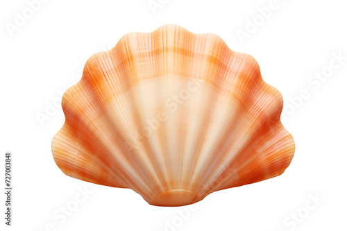Seashell watercolor illustration. Hand drawn underwater element design. Artistic marine design element. Illustration for greeting cards, printing and other transparent background Generative Ai