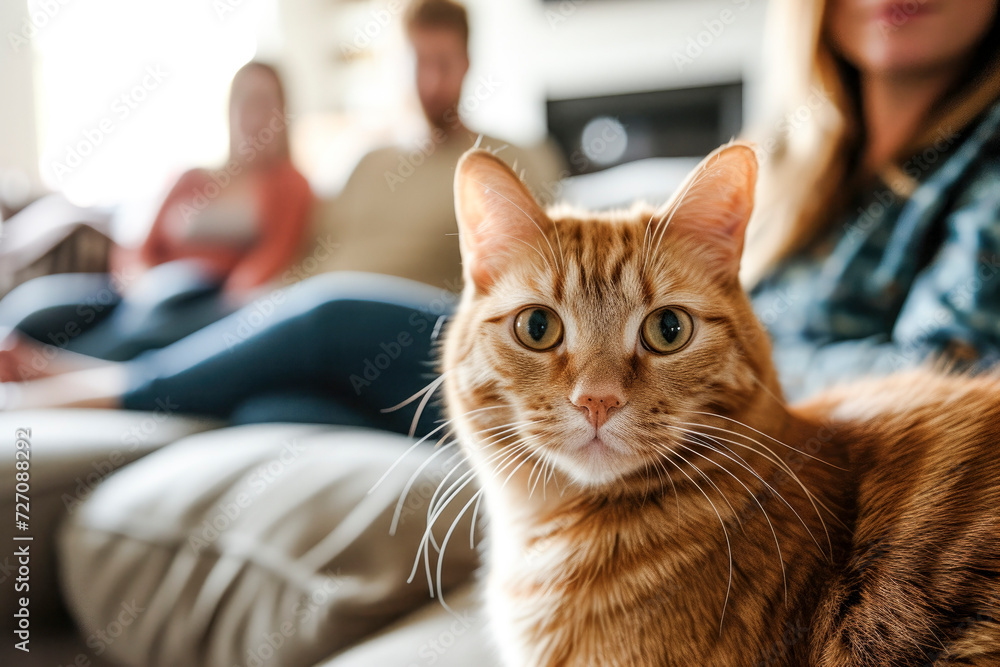 image of a cat in the foreground, behind him his human family sitting on the sofa,