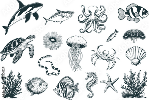 Undersea Animals set. Vector hand drawn outline style. Vintage sketch engraving illustration.