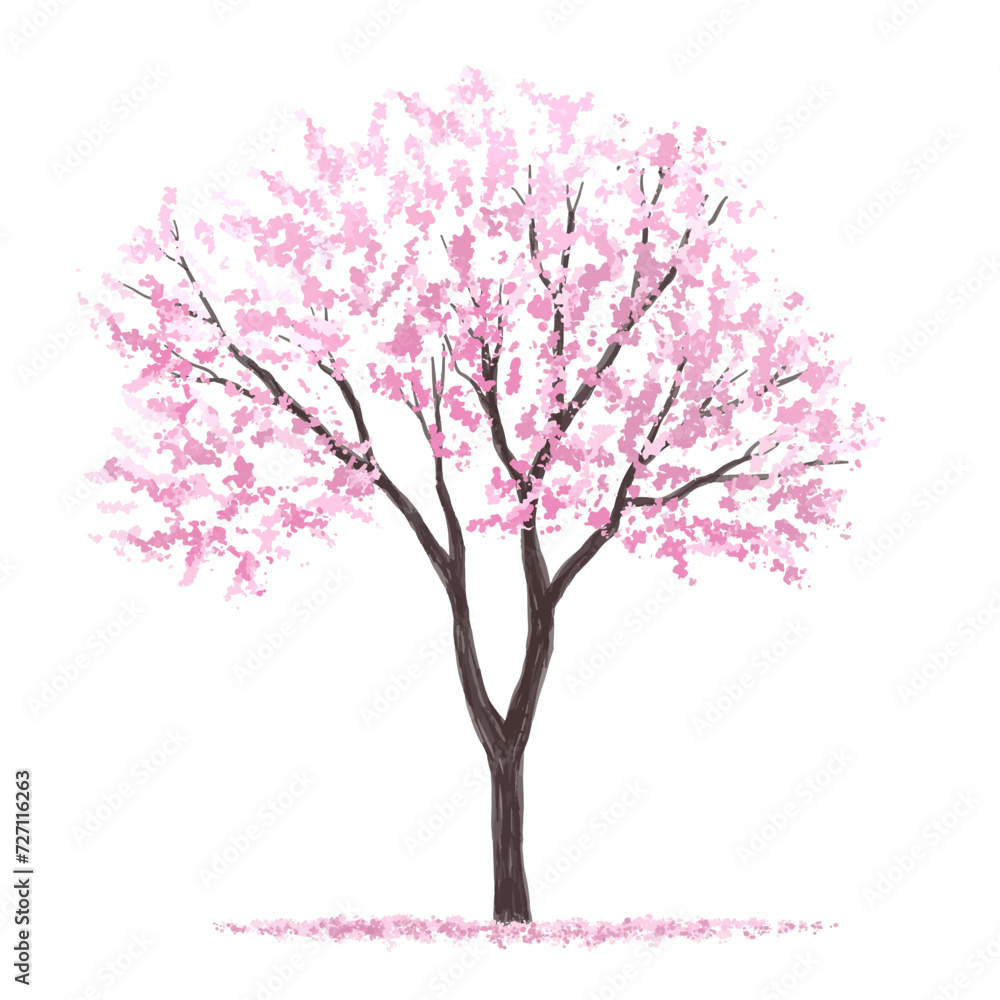 Vertor set of spring blossom tree,bloomimg plants side view for landscape elevation and section,eco environment concept design,watercolor sakura illustration,colorful season,cherry tree Vertor set of spring blossom tree,bloomimg plants side view for landscape elevation and section,eco environment concept design,watercolor sakura illustration,colorful season,cherry tree
