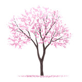 Vertor set of spring blossom tree,bloomimg plants side view for landscape elevation and section,eco environment concept design,watercolor sakura illustration,colorful season,cherry tree