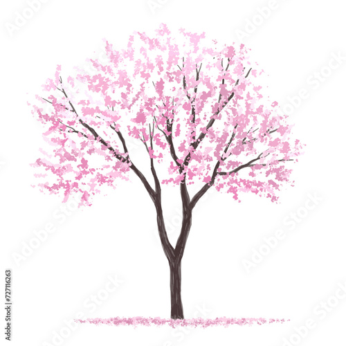 Vertor set of spring blossom tree,bloomimg plants side view for landscape elevation and section,eco environment concept design,watercolor sakura illustration,colorful season,cherry tree © Wattanapong