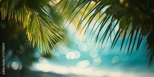 beautiful background with palm leaves and the shimmer of the blurred water of the ocean © Pter