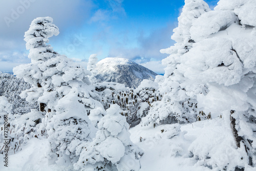 Wallpaper Mural 八ヶ岳連峰北横岳スノーハイク Torontodigital.ca