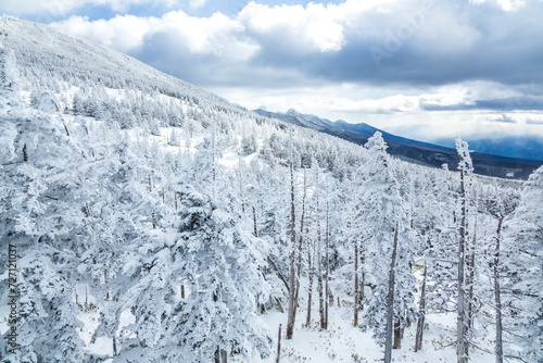 Wallpaper Mural 北八ヶ岳 奥庭スノーハイク Torontodigital.ca