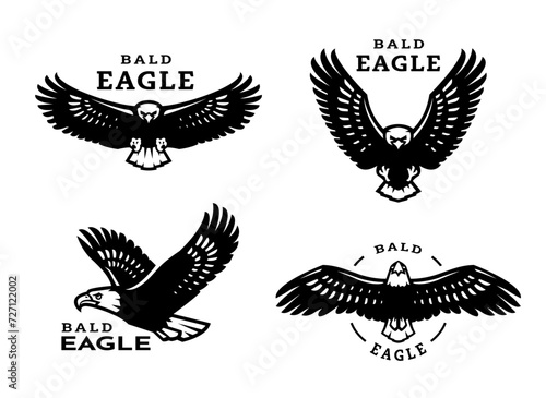 A set of bald eagles.