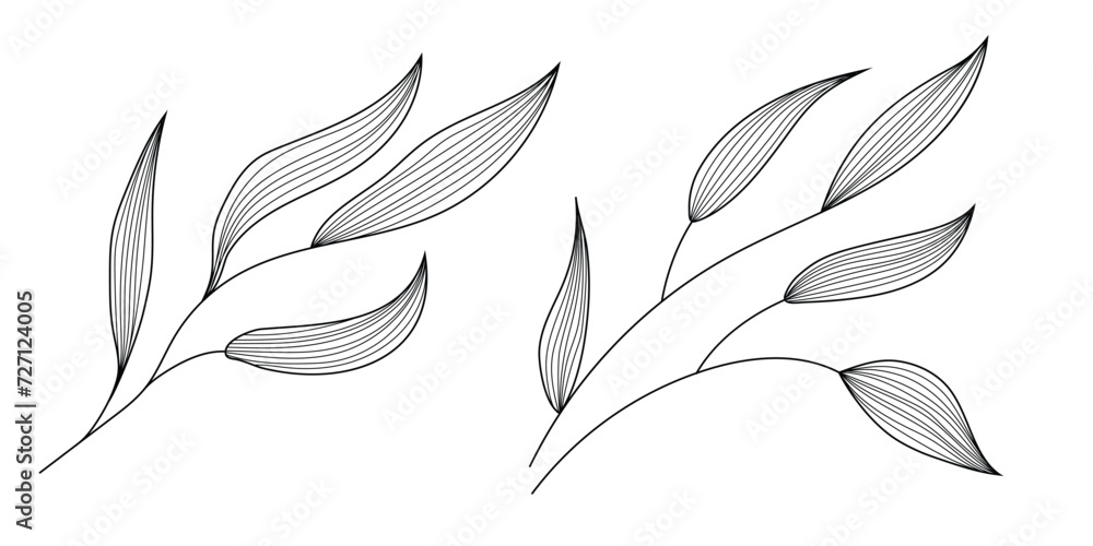 Vector leaves isolated on a white background, minimalist design, black and white Vector leaves isolated on a white background, minimalist design, black and white