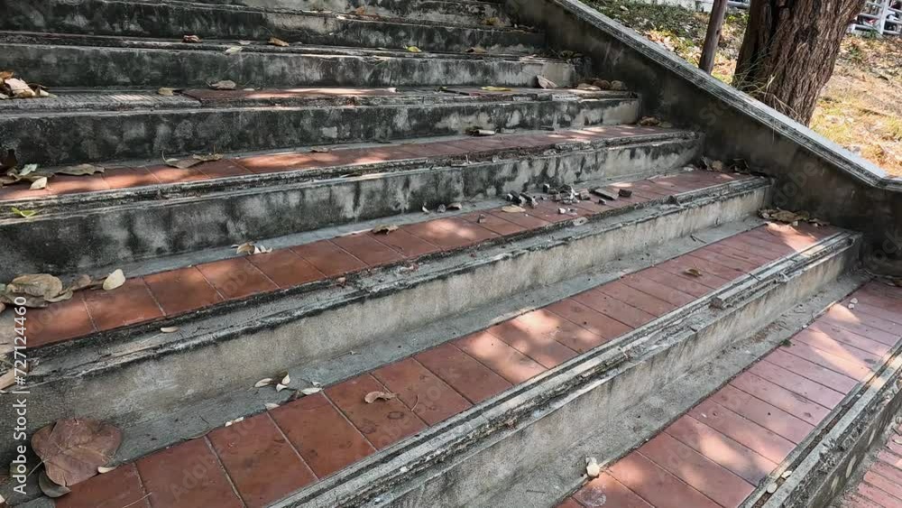 Descending Wooden Staircase in Forest