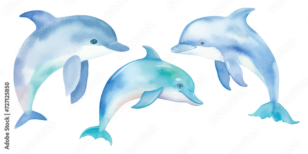 Fototapeta premium cute dolphin watercolor vector illustration