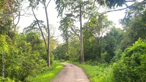 Tourists enjoying forest safari in the evening at kaziranga national Park in assam india. photo