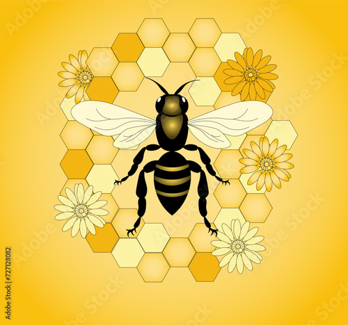 Vector illustration of a wasp on a honeycomb background, top view