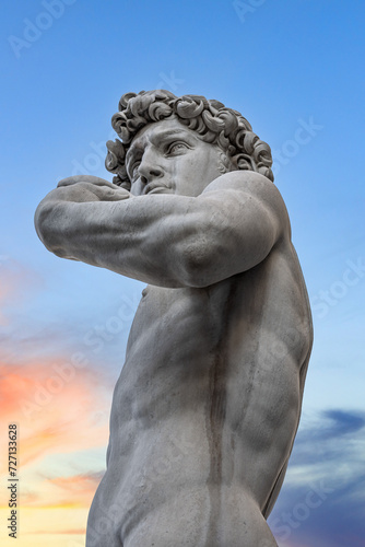 Michelangelo's David, Piazza della Signoria, Florence, Italy photo