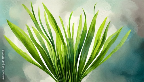 bouquet of young green grass on white or background natural raster clipart of a meadow plant
