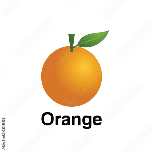 Fresh fruit orange icon logo design