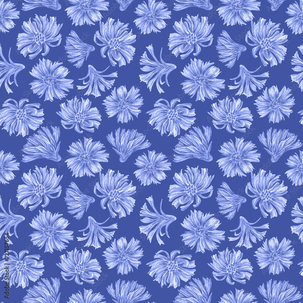 Seamless botanical pattern of chicory flowers, made in watercolor in digital processing. Hand drawing of a chicory plant with flowers and leaves. Print for fabric, holiday paper, clothing, cover Seamless botanical pattern of chicory flowers, made in watercolor in digital processing. Hand drawing of a chicory plant with flowers and leaves. Print for fabric, holiday paper, clothing, cover